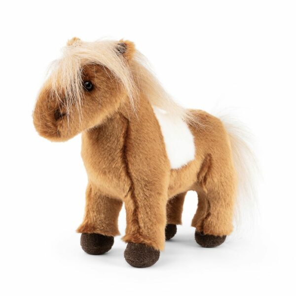Poney Shetland