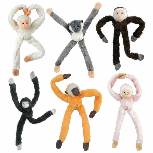 Singe Magnet