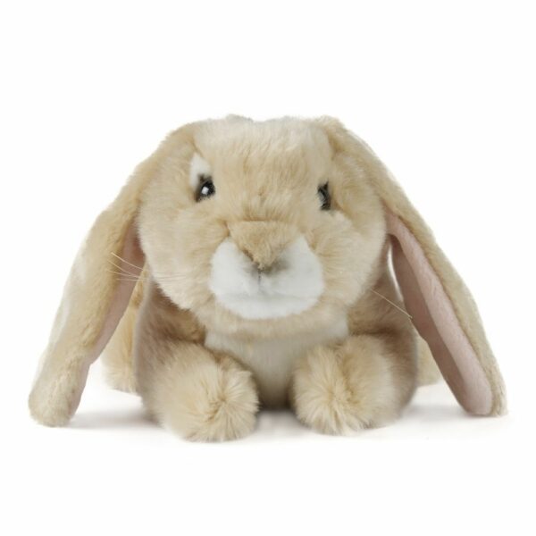 Lapin marron clair