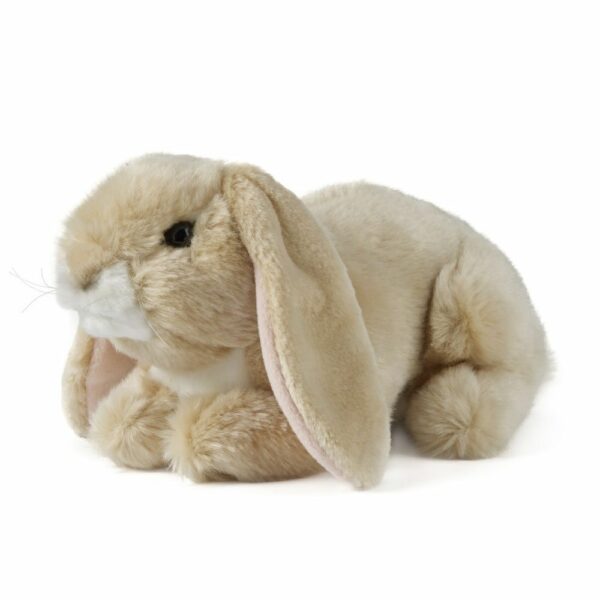 Lapin marron clair – Image 2