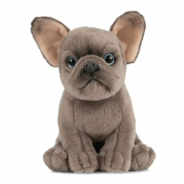 Chiot Bouledogue Français