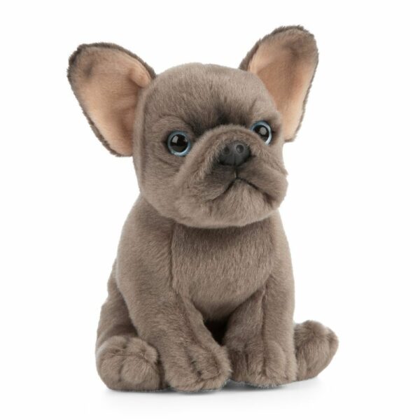 Chiot Bouledogue Français – Image 2