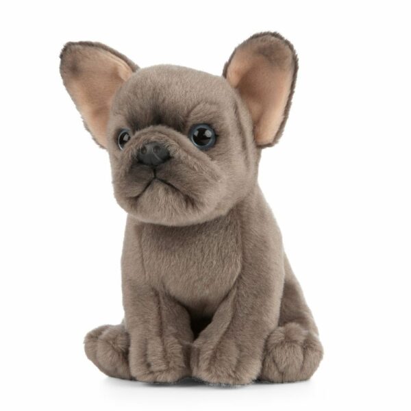 Chiot Bouledogue Français – Image 3