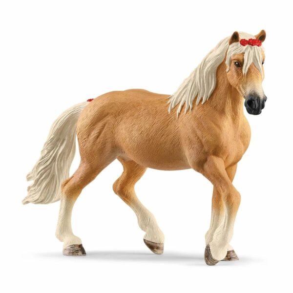 Jument Haflinger