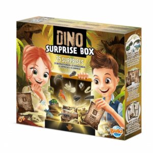 Dino surprise box