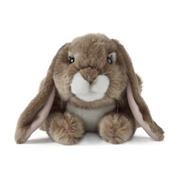 Peluche Lapin -32,90€