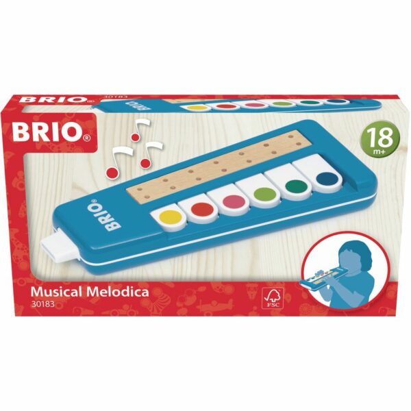 Musical Melodica – Image 4