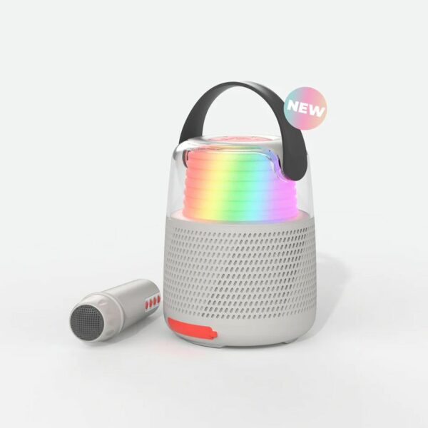 Enceinte & Karaoké – GRIS