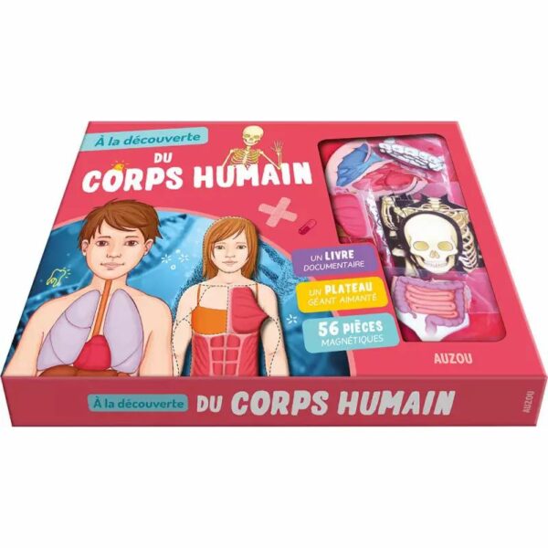 À la découverte du corps humain