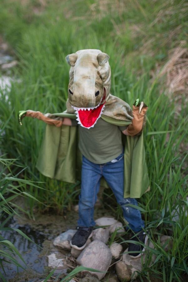 Cape T-Rex 4-6 ans – Image 2