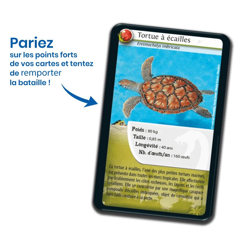 Défis Nature - Reptiles – Image 2