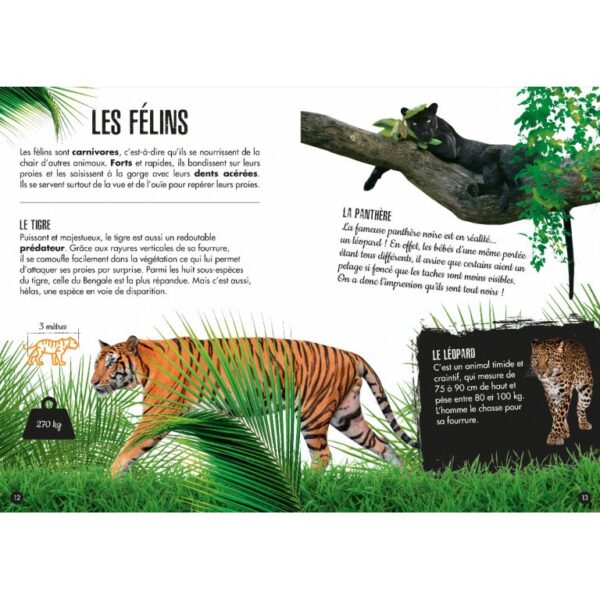Puzzle Livre Jungle - L'éléphant 3D – Image 3