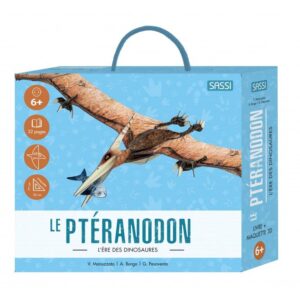 Ptéranodon – Maquette 3D