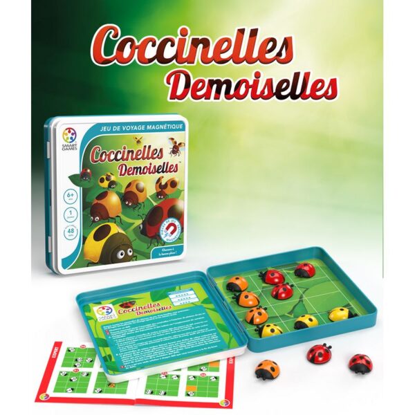 Coccinelles demoiselles – Image 2