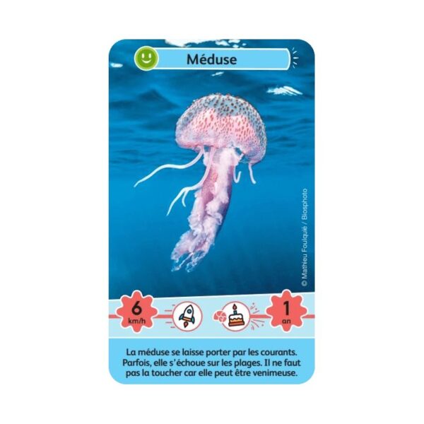 Défis Nature Junior - Merveilles de la mer – Image 3