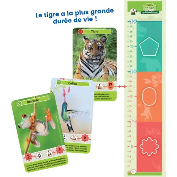 Défis Nature Junior - Mystères de la jungle – Image 2