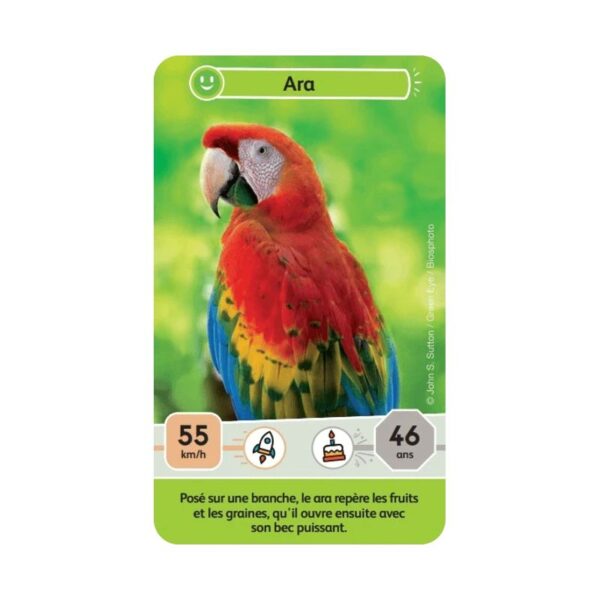 Défis Nature Junior - Mystères de la jungle – Image 3