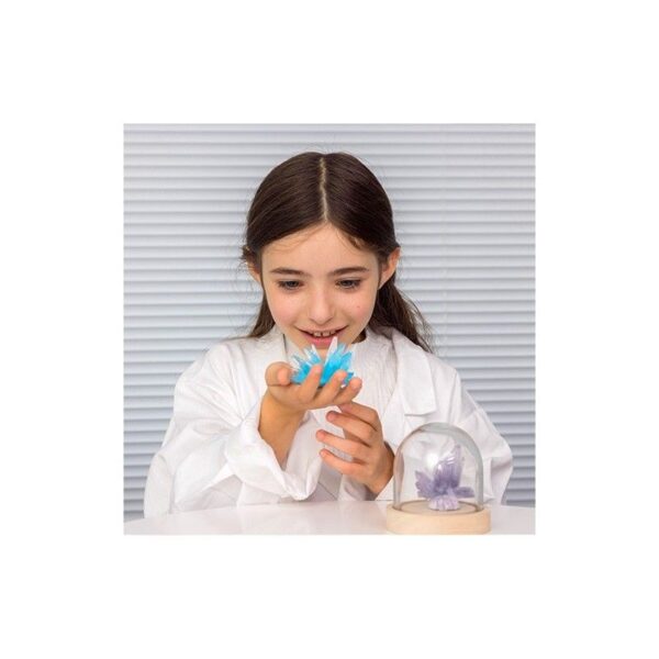 Cristal Violet – Image 3