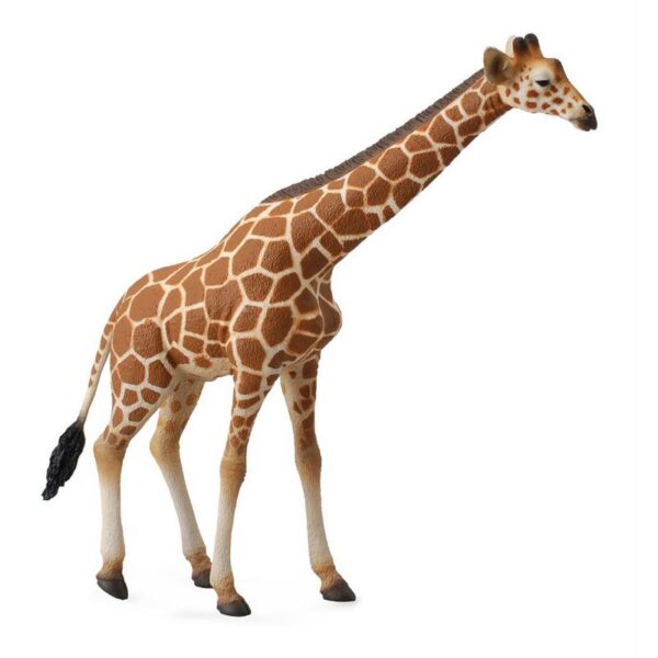 Girafe