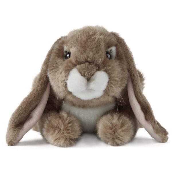 Lapin marron foncé