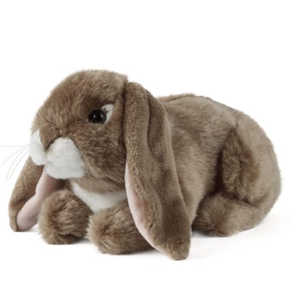 Lapin marron foncé – Image 2
