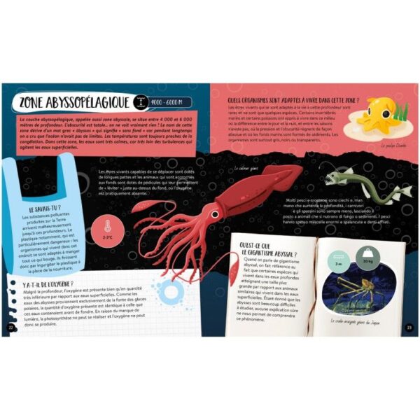 Le coffret méga atlas de la Mer - 500pcs – Image 4