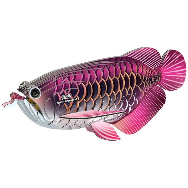 9421036940398-eugy-puzzle-3d---poisson-dragon