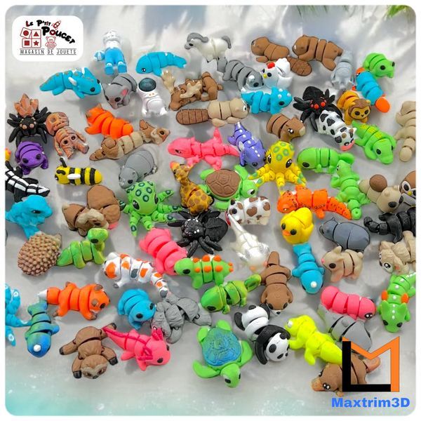 2000000001517-wigzzy-5-figurines--maxtrim3d