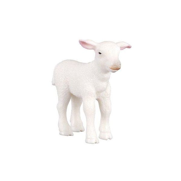 4892900880099-agneau---collecta