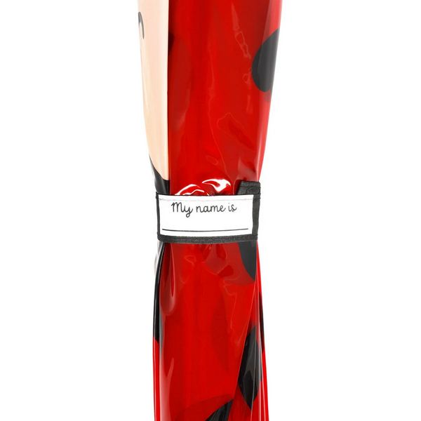 8052694113179-parapluie-pour-enfant---coccinelle