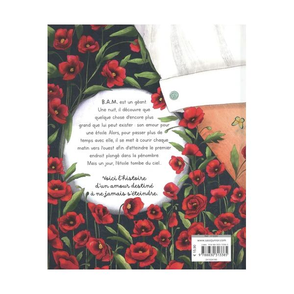 9788830313385-un-amour-de-geant