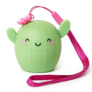 Mini Haut-Parleur et Enceinte Sans Fil Cactus