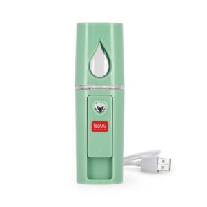 Mini Brumisateur pour le Visage