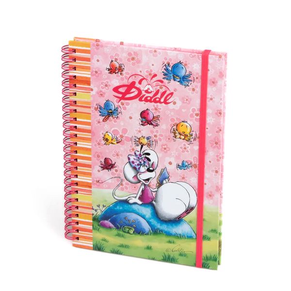 3519570301334-cahier-a-spirale-a5-bleu-ou-rose-diddl-elastique