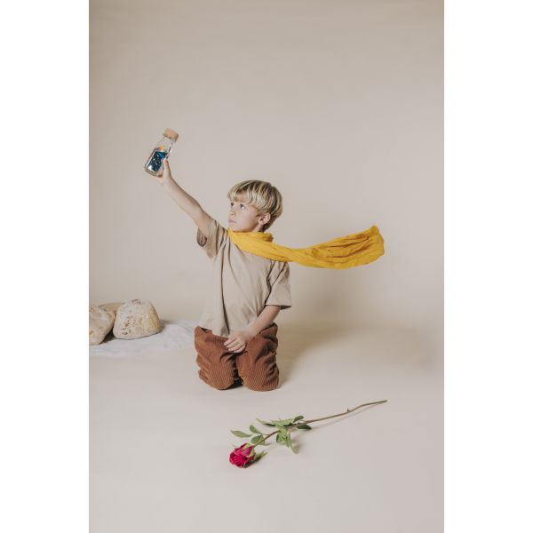 8425402857823-bouteille-sensorielle-le-petit-prince