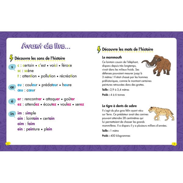 9791039554428-les-heros-de-2e-primaire---niveau-2---une-rencontre-prehistorique