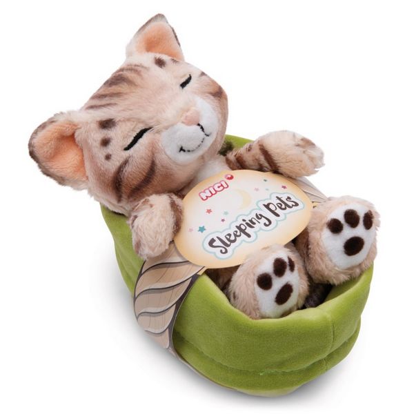 4012390497472-chat-tigre-dans-son-panier-vert---sleeping-pets
