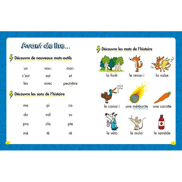 9791039527675-les-heros-de-1er-primaire---niveau-1---les-animaux-dingos