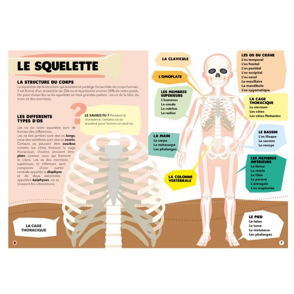 9788830383180-puzzle--livre-le-corps-humain-200-pcs